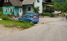 Apartma Condor